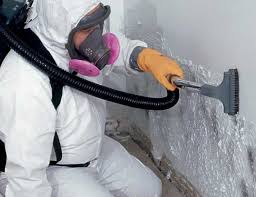 Best Crawl Space Mold Remediation in Coleraine, MN